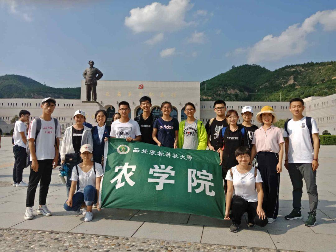 优质问答网站Tolerance洗面奶用完为啥感觉脸部黏腻?,专业解答您的疑问