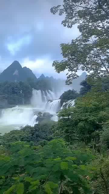 怀了领导还是老公的孩子- 天涯问答交流平台